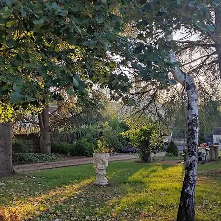 Le gîte de Poulas Couffy Extérieur photo
