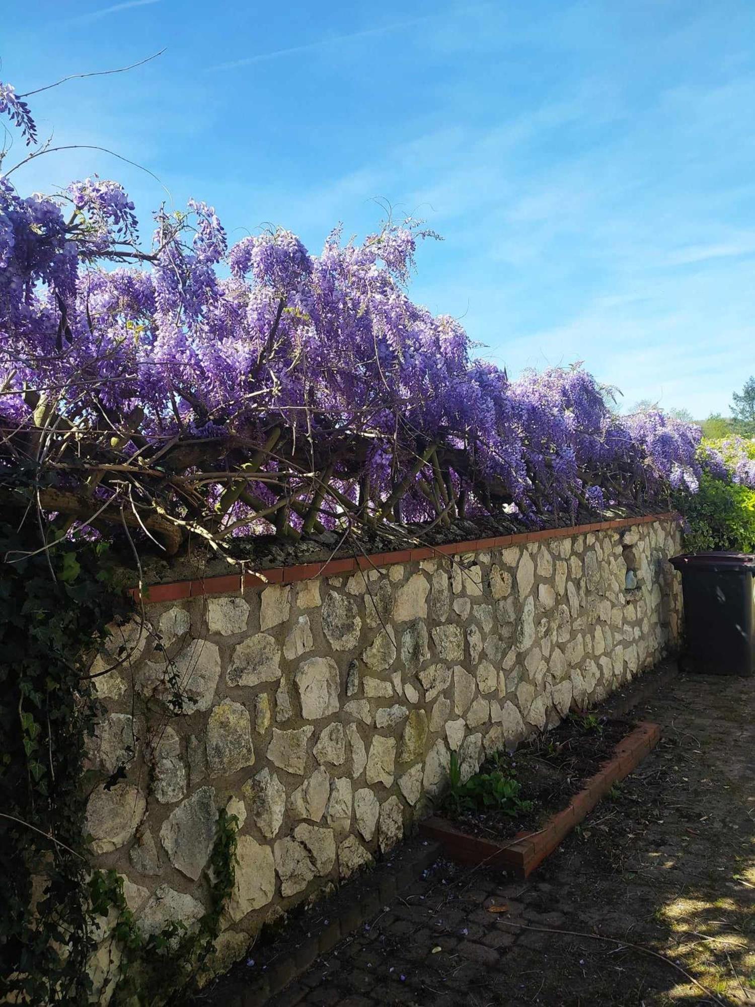 Le De Poulas Holiday home Couffy